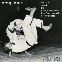 Gogi Dzodzuashvili [Waxing Gibbous]