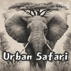 Urban Safari