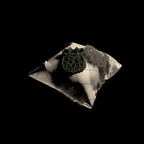 Goyaconnect / 011668 - Imagining Angels on the Gulf