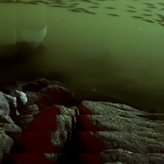 NO BLUE LIGHTS? (unmastered)