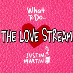 JUSTIN MARTIN - The LOVE STREAM (DnB excerpt from episode 1)