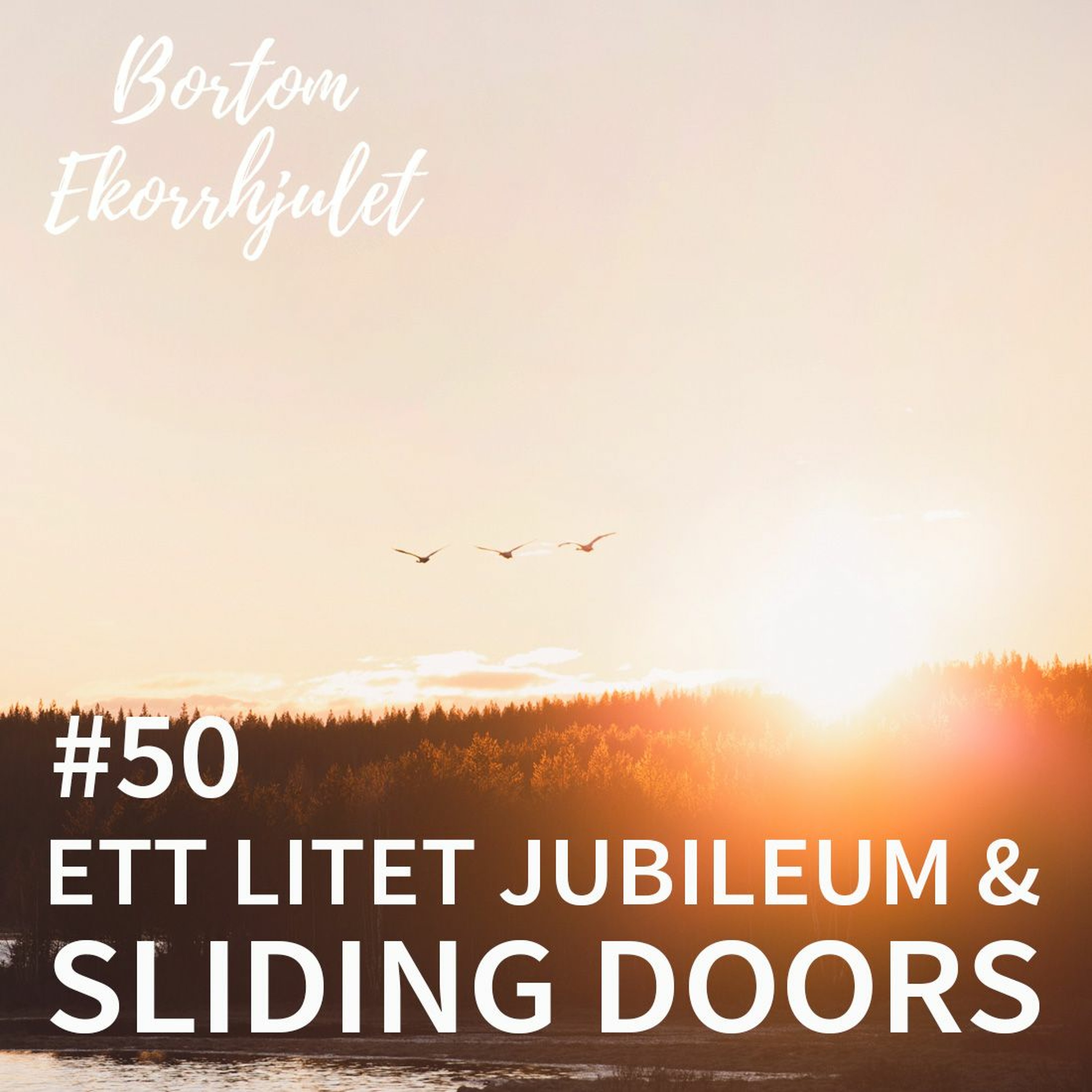 Bortom ekorrhjulet