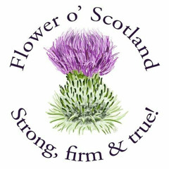 Flower Of Scotland