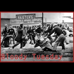 Bloody Tuesday - song by Hawkbaby #1