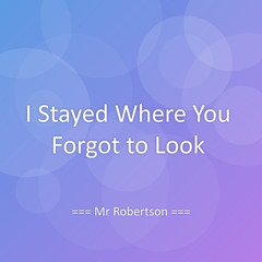 I Stayed Where You Forgot to Look