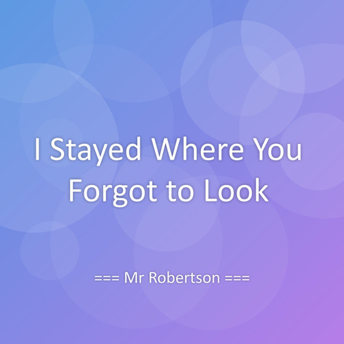 I Stayed Where You Forgot to Look