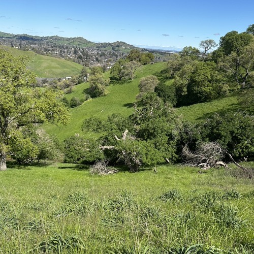 Whohaveyoukilled.m4a