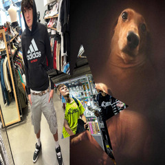 bsdog - analg