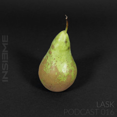 INSIEME Podcast 016 - Lask