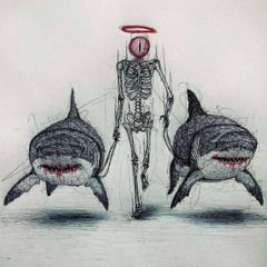 MELODIC OF SHARK 006