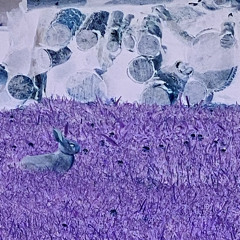 The Cold Rabbit
