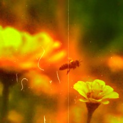 Hive Control