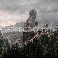 PERFECTION #15
