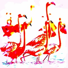 Neon Flamingo Fantasy in X
