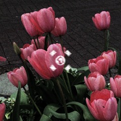 Flowers ft. Misha Biork