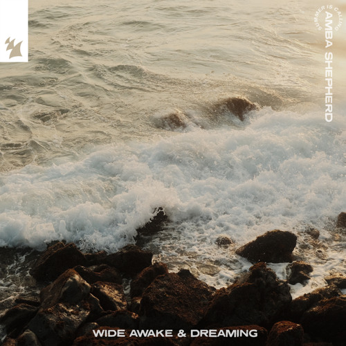 Wide Awake & Dreaming