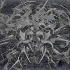 CRUDE Exclusive: Toxicspikeback - Hydra§