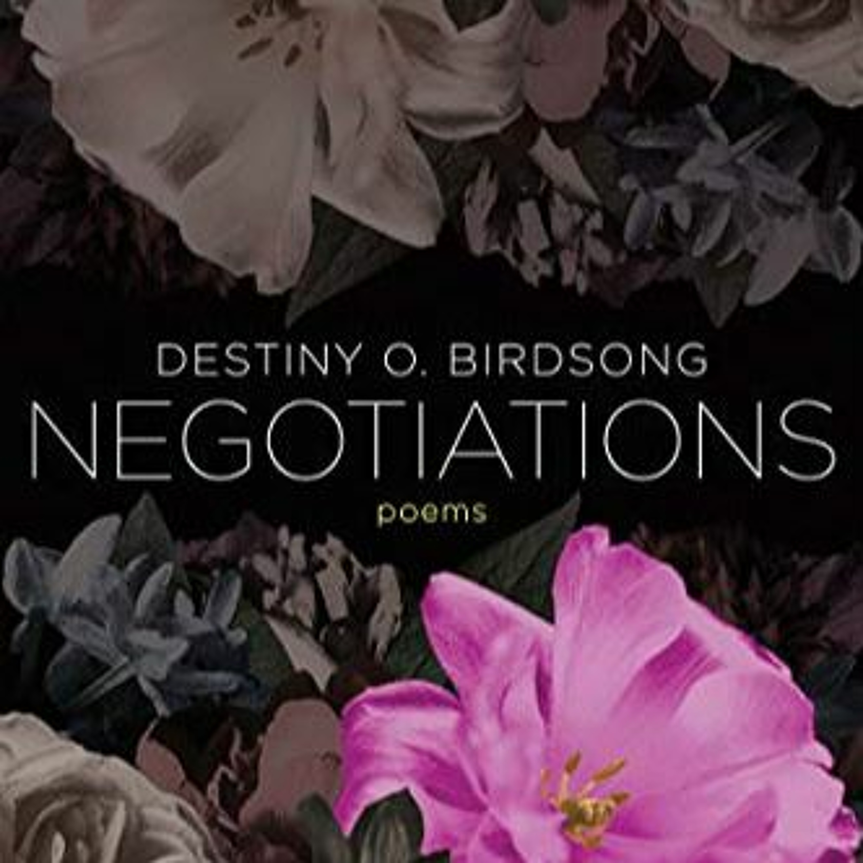 Negotiations by Destiny O. Birdsong episode artwork