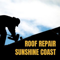 Reliable Roof Repairs To Protect Your Home