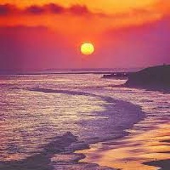 🌺✨💫For the lonely ✨💫🌺