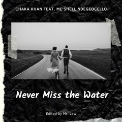 Chaka Khan (feat. Me'Shell Ndegeocello) - Never Miss The Water Edited By Mr.Law