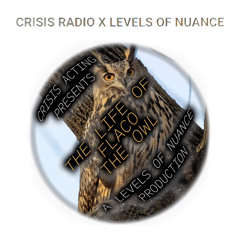 CRISIS RADIO X LEVELS OF NUANCE