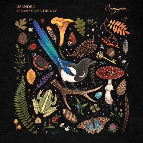 Lisandro - Dreams Come True (Extended Mix) [Songuara]