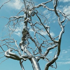 These Heavy Times (demo) -- August Ave