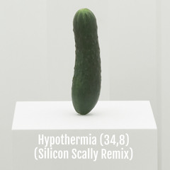 Hypothermia (34,8) (Silicon Scally Remix)