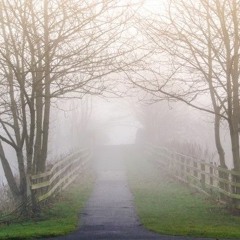 TheFog