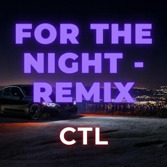 FOR THE NIGHT - Remix