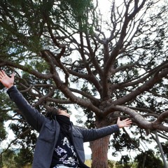 ༶ free edits (2012 - 2025)