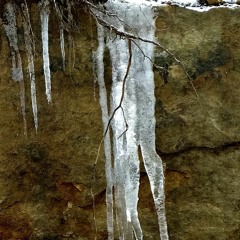Prelude Fragile