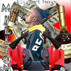 Expertboss-Millions