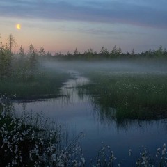 Aldamane audio background 💘FREE DOWNLOAD