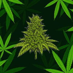 CannabisBoy - Czestochowski Trap