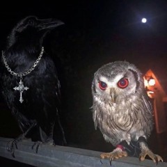 i cant feel being broke