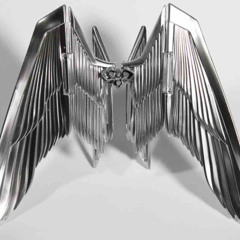 Cruel Wings