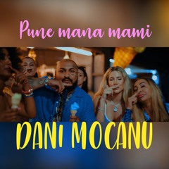 Dani Mocanu - Pune mana mami