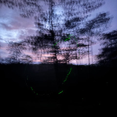 12:34am_robotic.entities