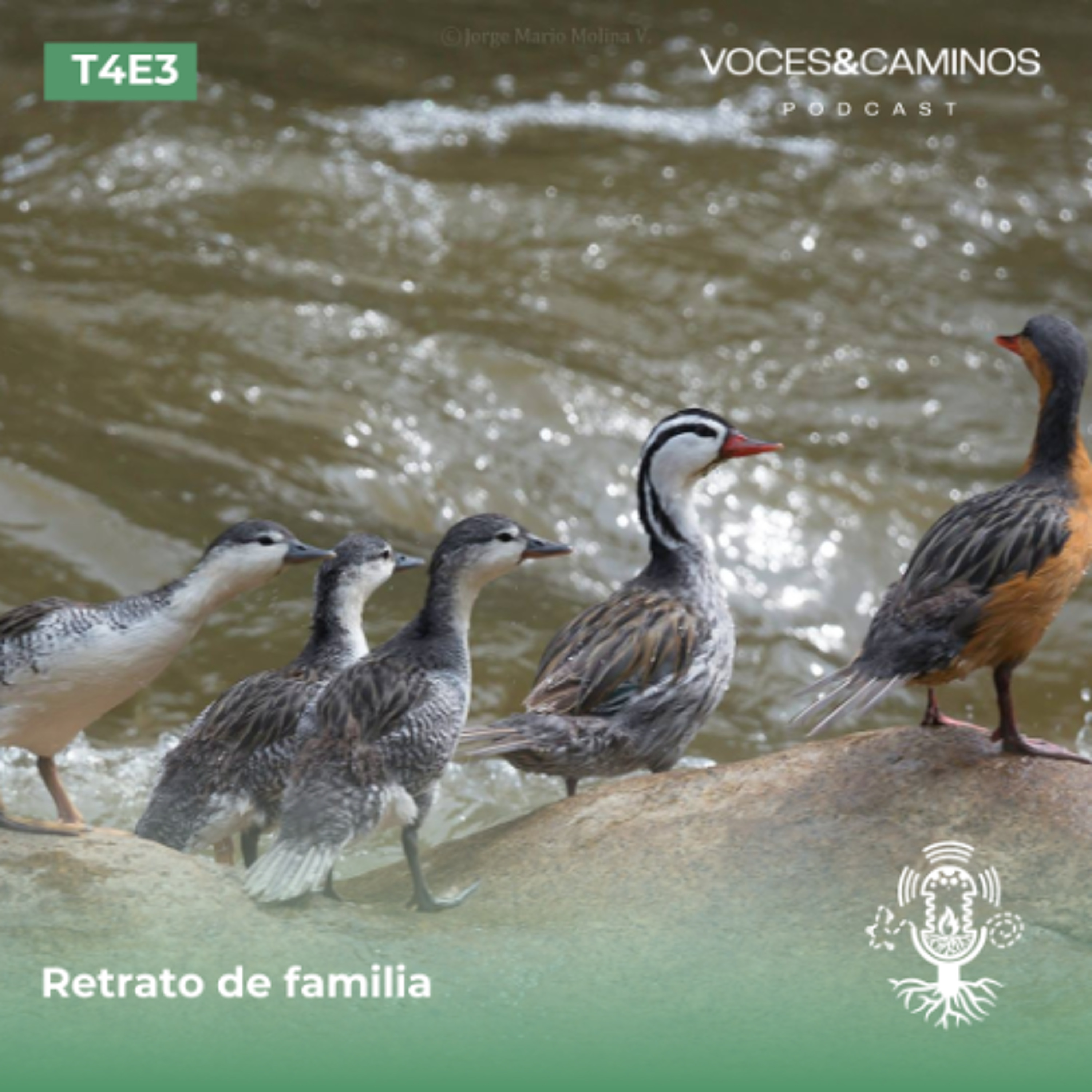 Voces y Caminos