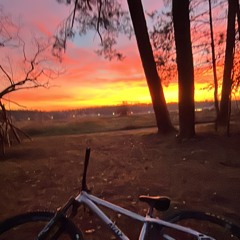 Makko Full Tour Intro & Wein live