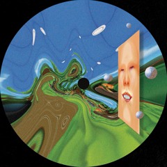 A1 Birds Of Paradise