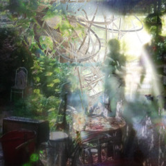 home\stall 2