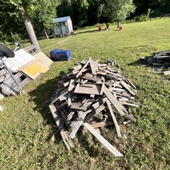 i sucked down three nearly dead carts and shitted this out