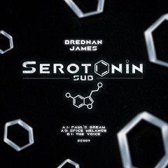 The Voice (Radio Edit)