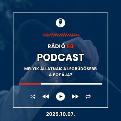 Melyik állatnak a legbüdösebb a pofája? | Café88 [2025.10.07.]