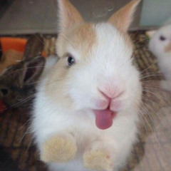 WHAT!