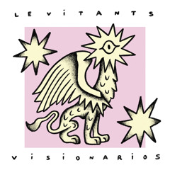 Visionarios