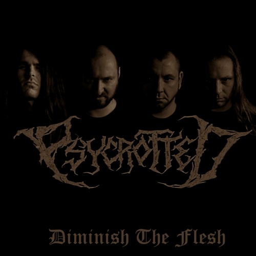 Diminish The Flesh (PROMO 2022)